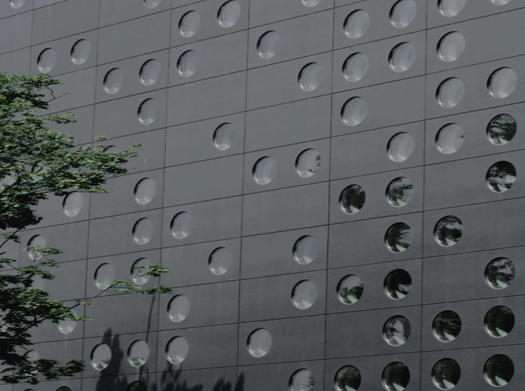 Fantazie nezn&aacute; mez&iacute;